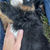 Thumbnail: Quigley (Reserved)
