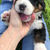 Thumbnail: Benson (Reserved)