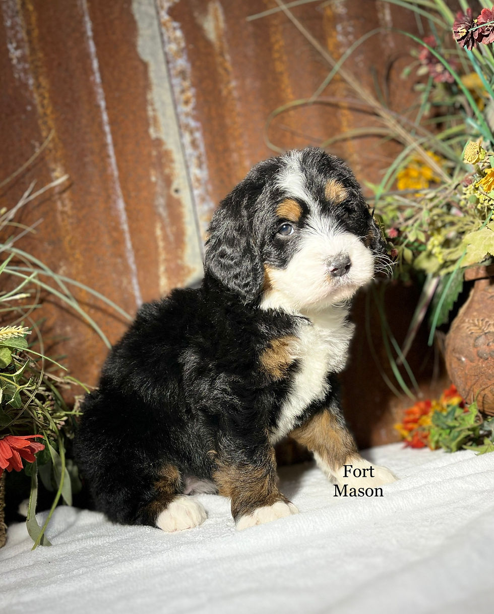 Thumbnail: Violet (Reserved)