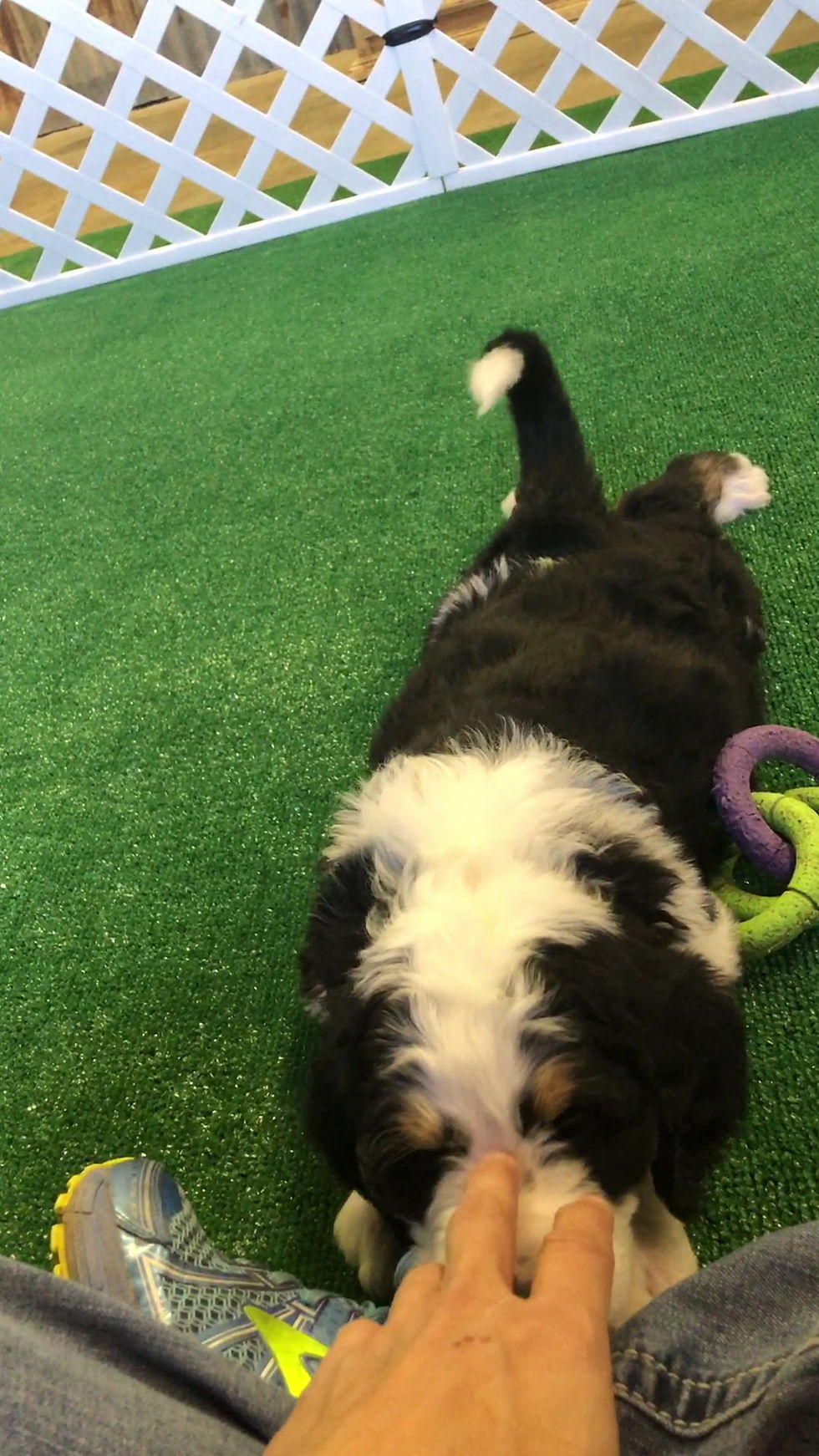 Thumbnail: Winnie (Reserved)