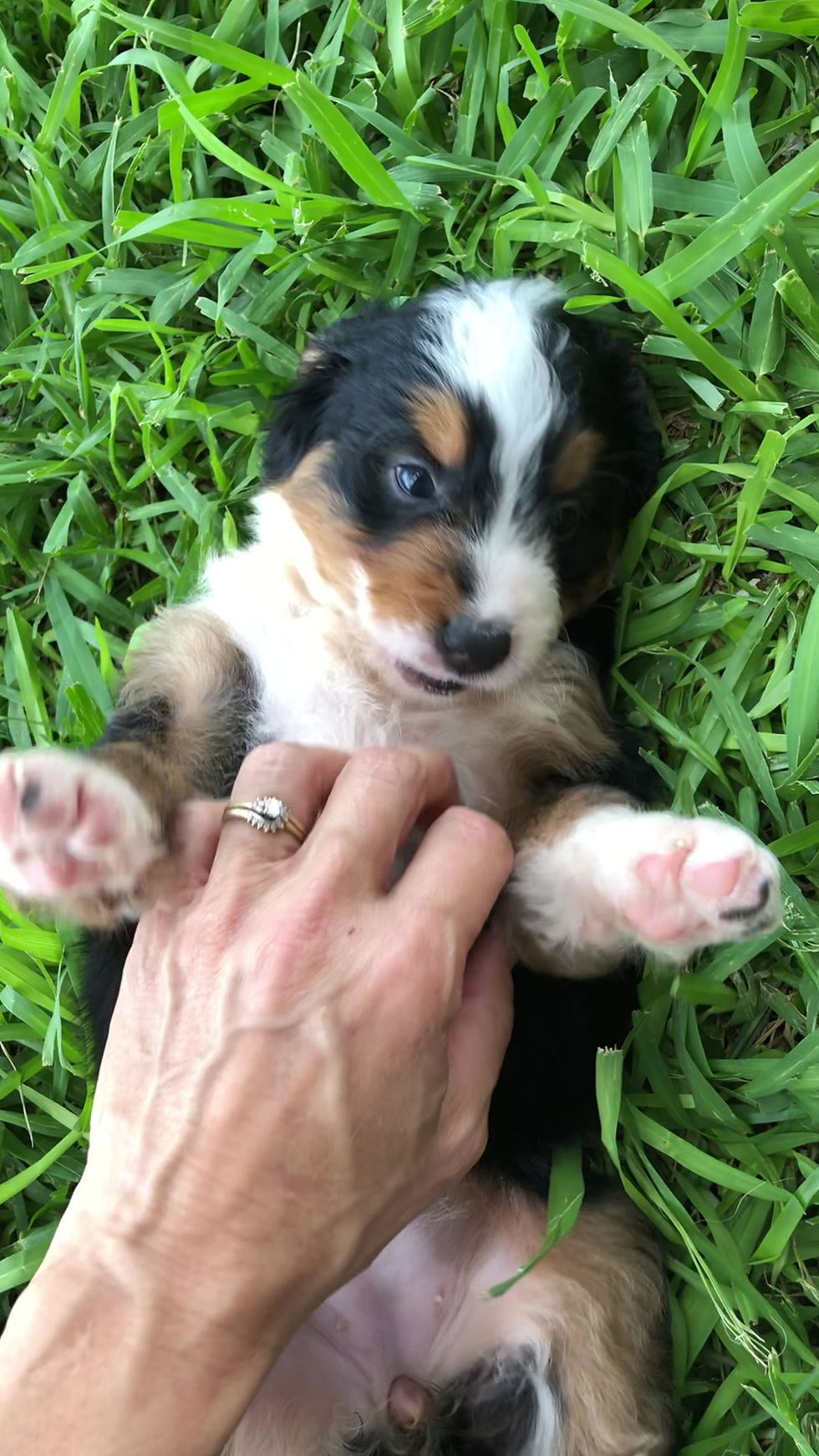 Thumbnail: Emma (Reserved)