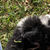 Thumbnail: Otto (Reserved)