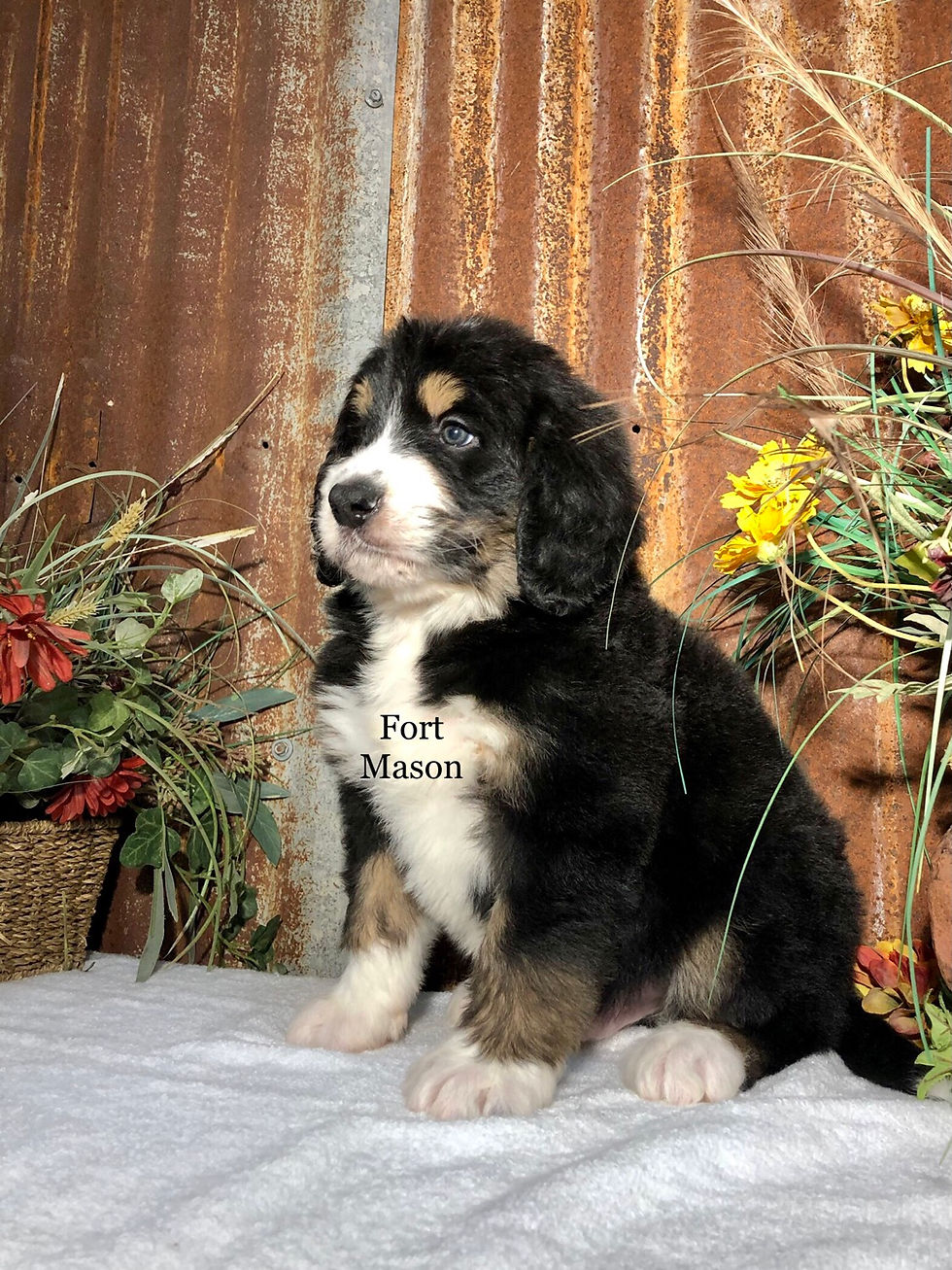 Thumbnail: Pluto (Reserved)