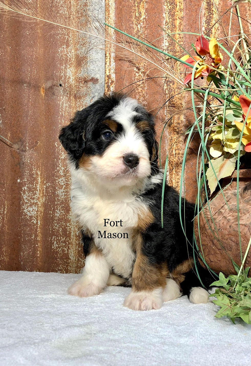 Thumbnail: Edgar (Reserved)