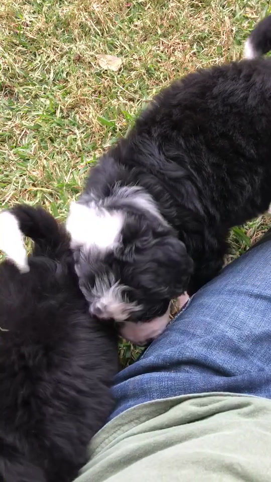 Thumbnail: Molly (Reserved)