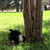 Thumbnail: Holly (Reserved)