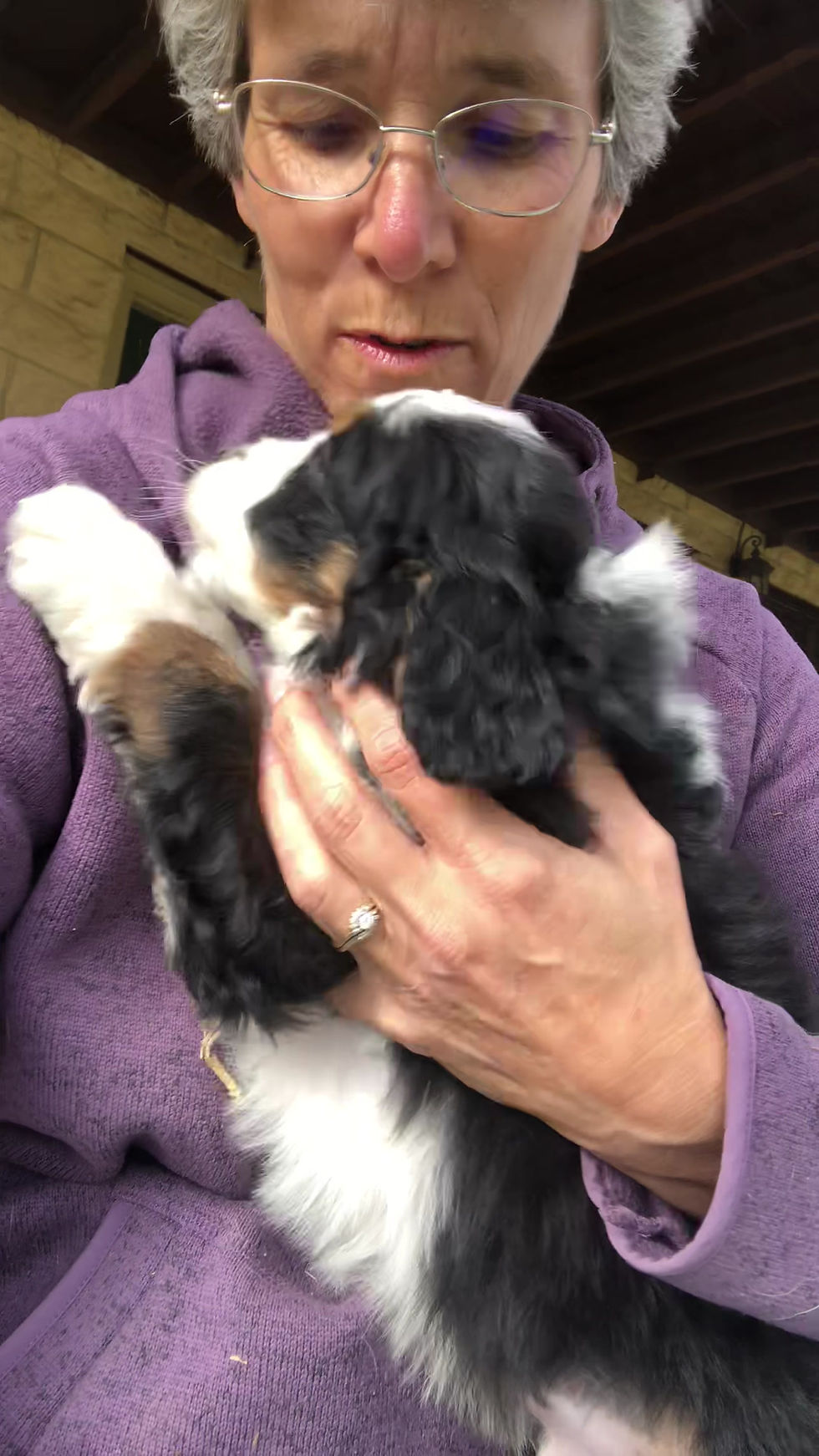 Thumbnail: Wilbur (Reserved)