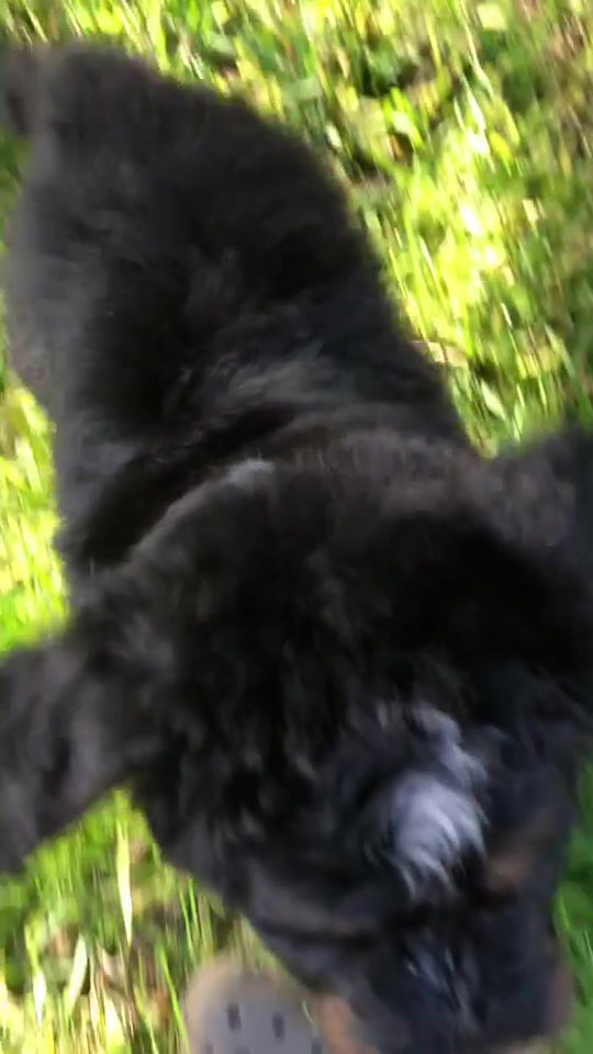 Thumbnail: Ned (Reserved)