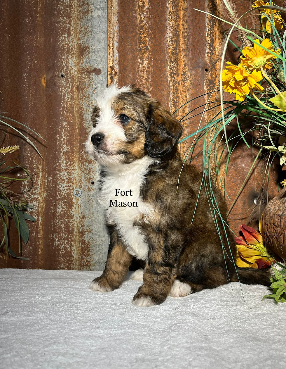Thumbnail: Winona (Reserved)