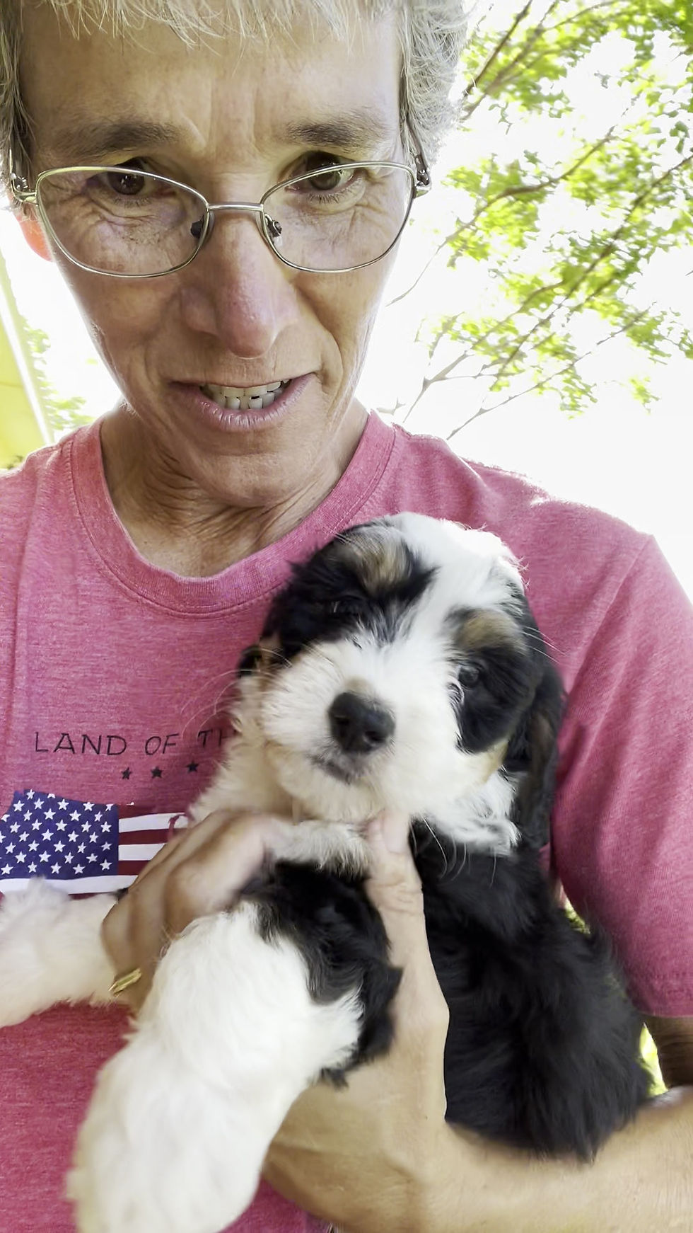 Thumbnail: Gus (Reserved)