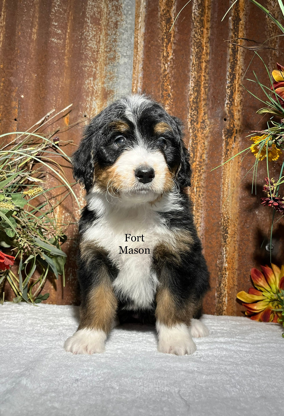 Yuma (Reserved)