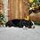 Thumbnail: Xena (Reserved)