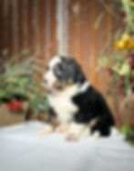 Thumbnail: Waylon (Reserved)