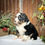 Thumbnail: Waylon (Reserved)