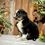 Thumbnail: Bonnie (Reserved)