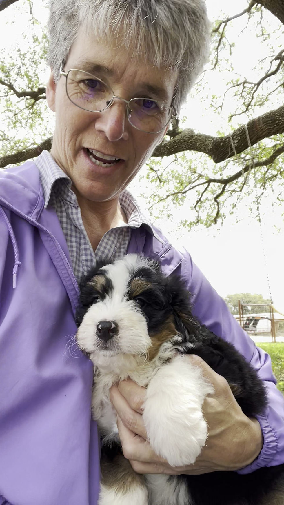 Thumbnail: Chester (Reserved)