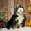 Thumbnail: Yuma (Reserved)