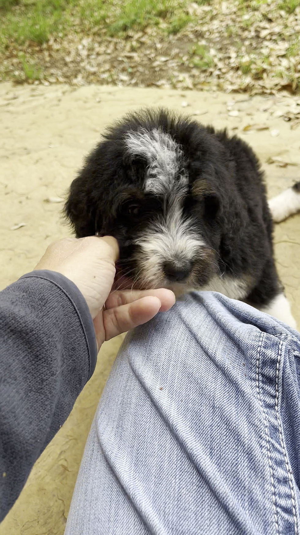 Thumbnail: Bonnie (Reserved)