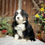 Thumbnail: Chuck (Reserved)