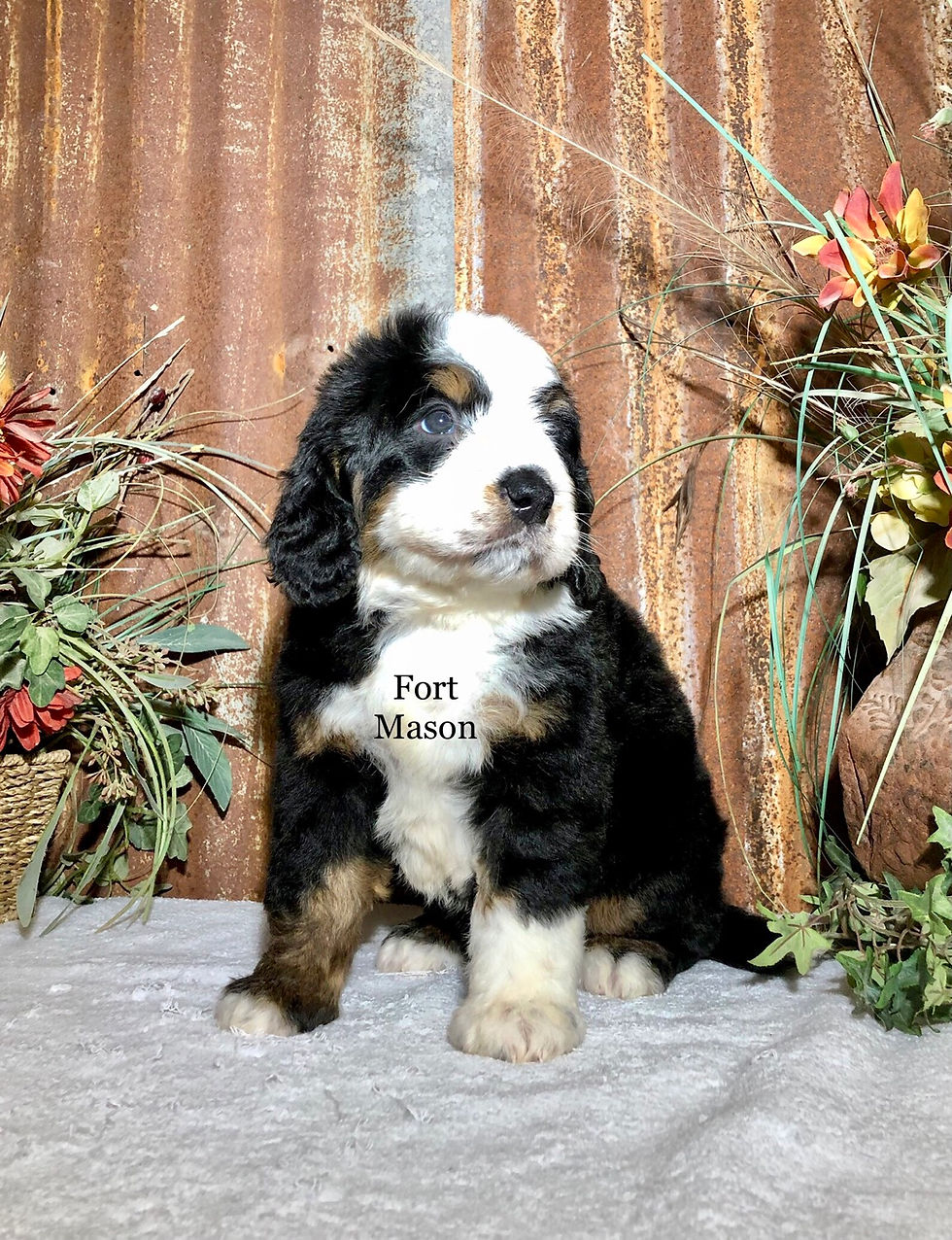 Thumbnail: Archer (Reserved)