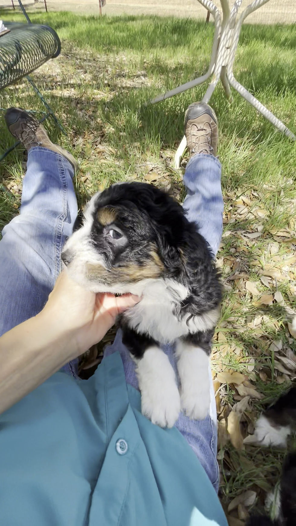 Thumbnail: Yosemite (Reserved)