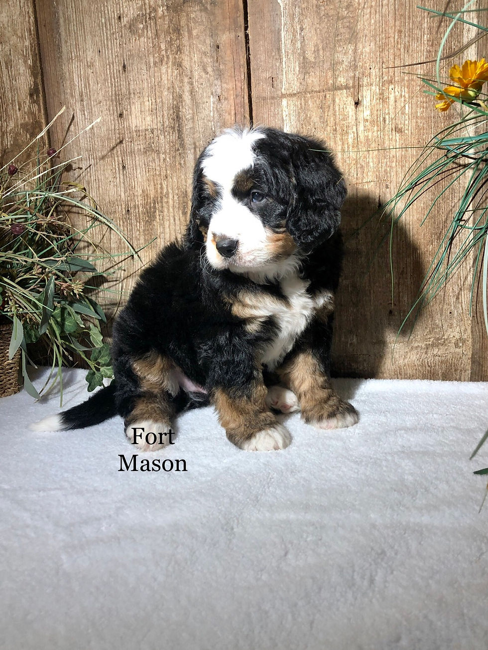 Thumbnail: Yukon (Reserved)