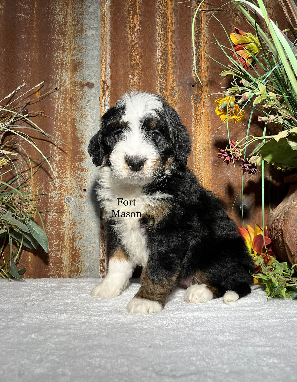 Thumbnail: Yoga (Reserved)