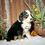 Thumbnail: Corie (Reserved)