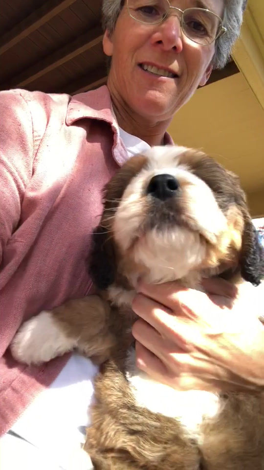 Thumbnail: Olive (Reserved)