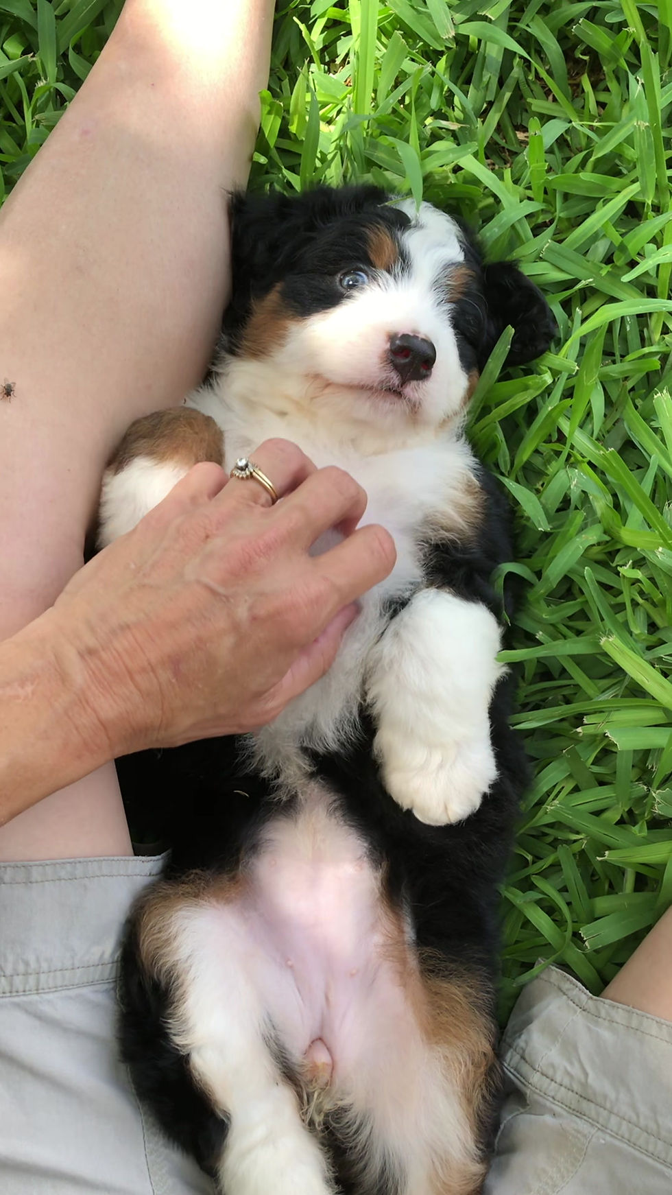 Thumbnail: Bernadette (Reserved)
