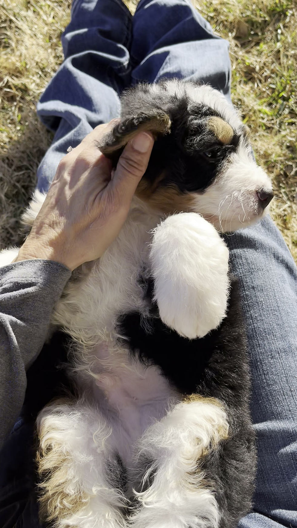 Thumbnail: Vinny (Reserved)