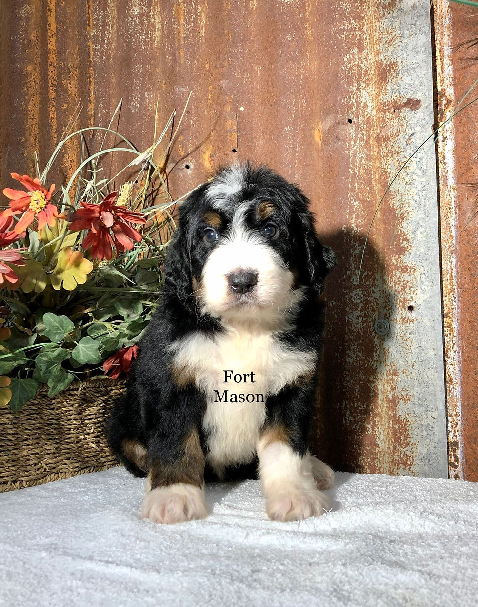 Thumbnail: Edna (Reserved)