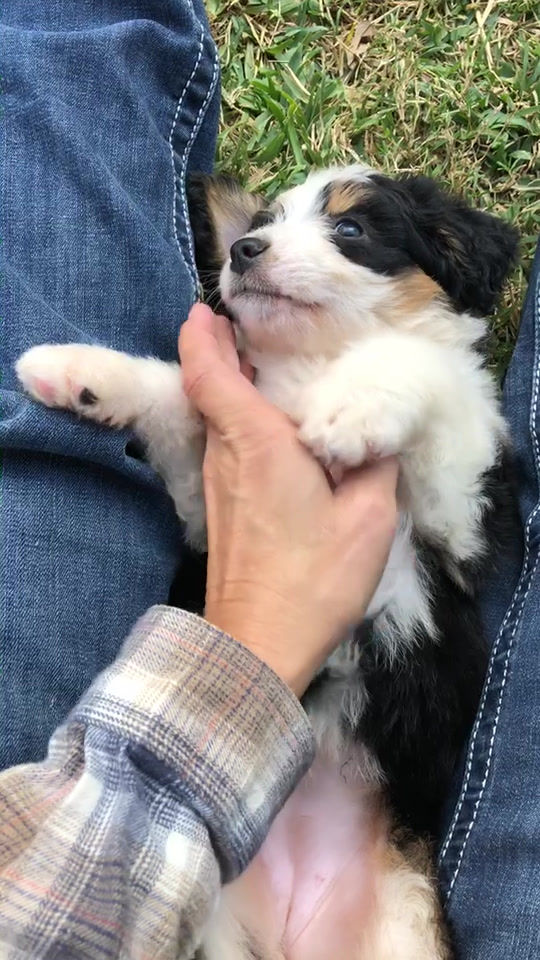 Thumbnail: Minnie (Reserved)