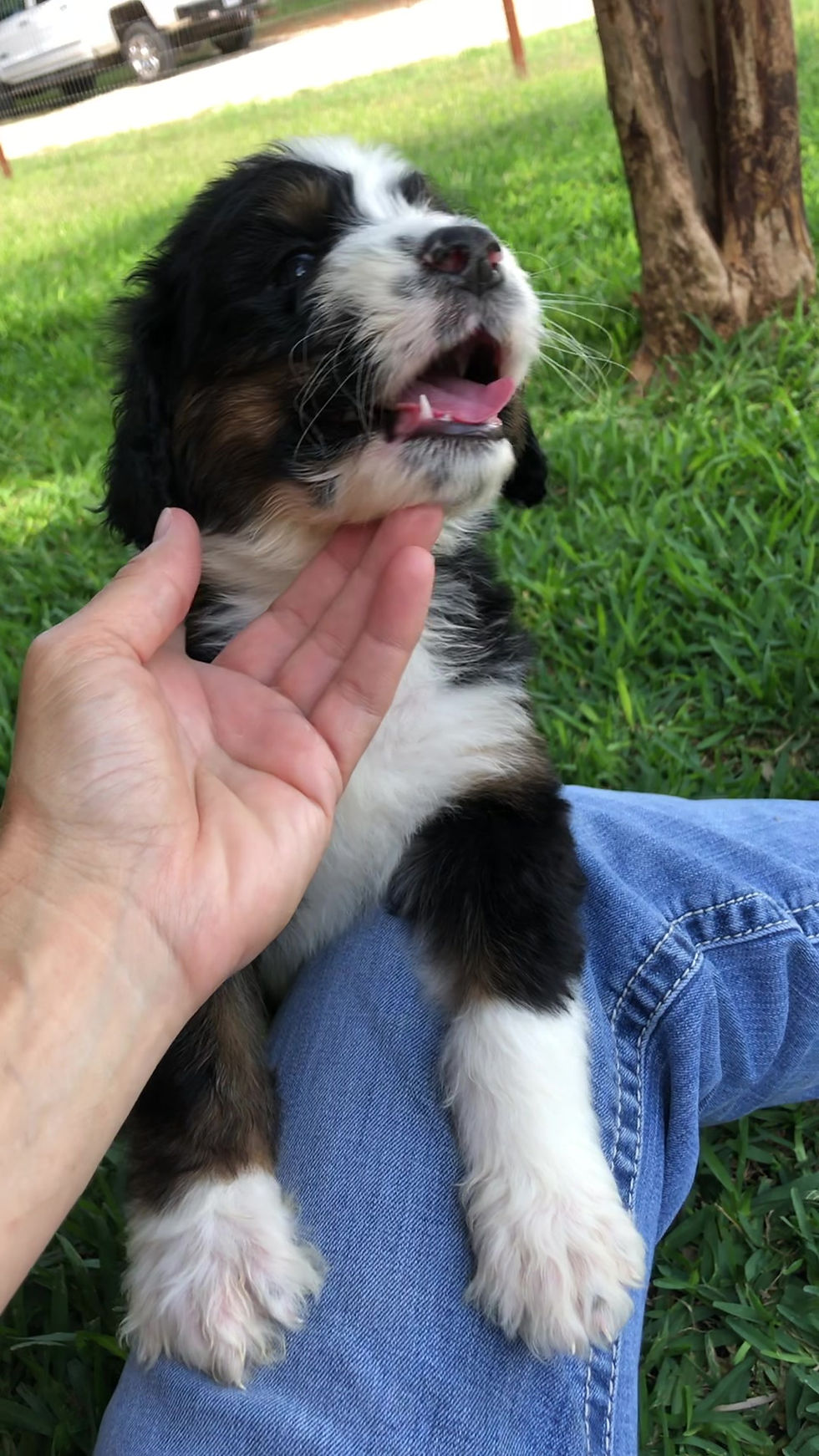 Thumbnail: Fergie (Reserved)