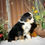 Thumbnail: Corie (Reserved)
