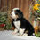 Thumbnail: Orchid (Reserved)