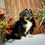 Thumbnail: Heidi (Reserved)