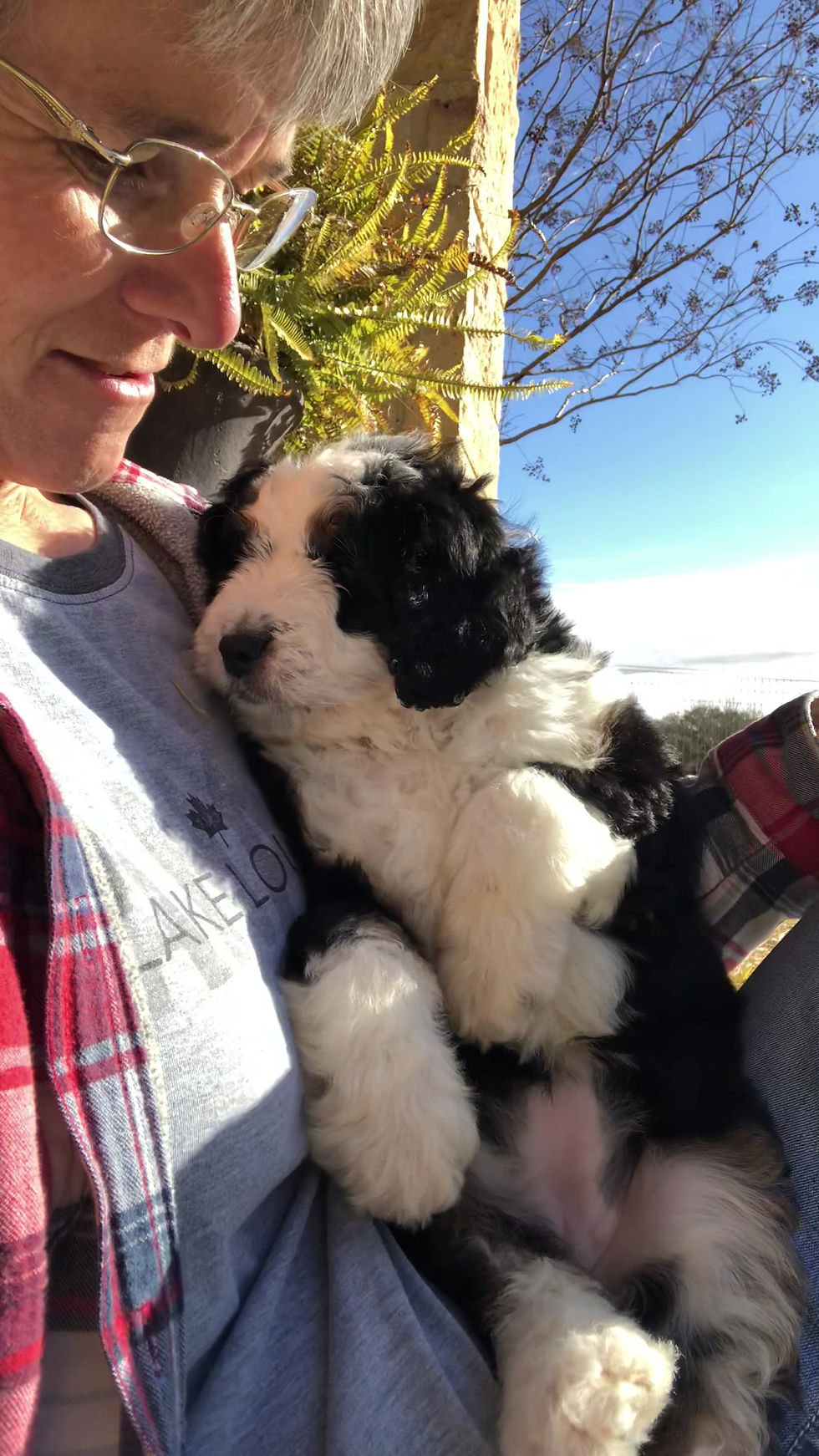 Thumbnail: Ruby (Reserved)