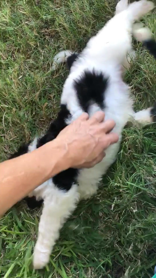 Thumbnail: Lenny (Reserved)
