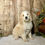 Thumbnail: Moe (Reserved)