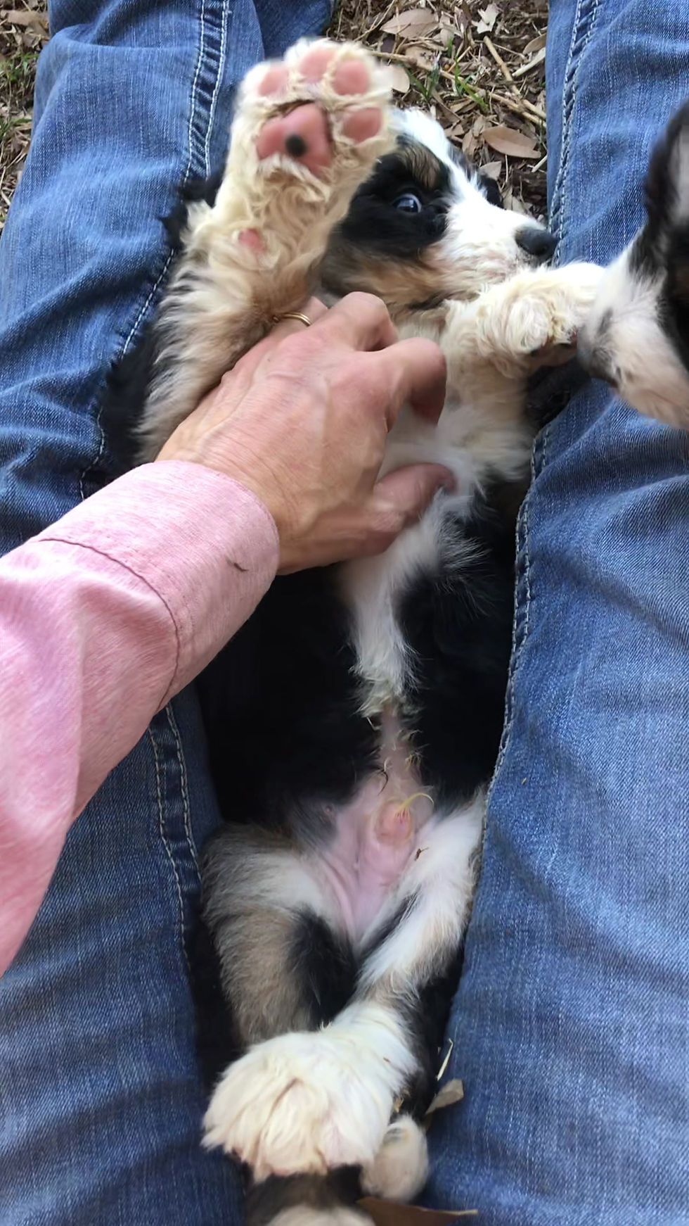 Thumbnail: Vern (Reserved)