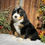 Thumbnail: Yuma (Reserved)