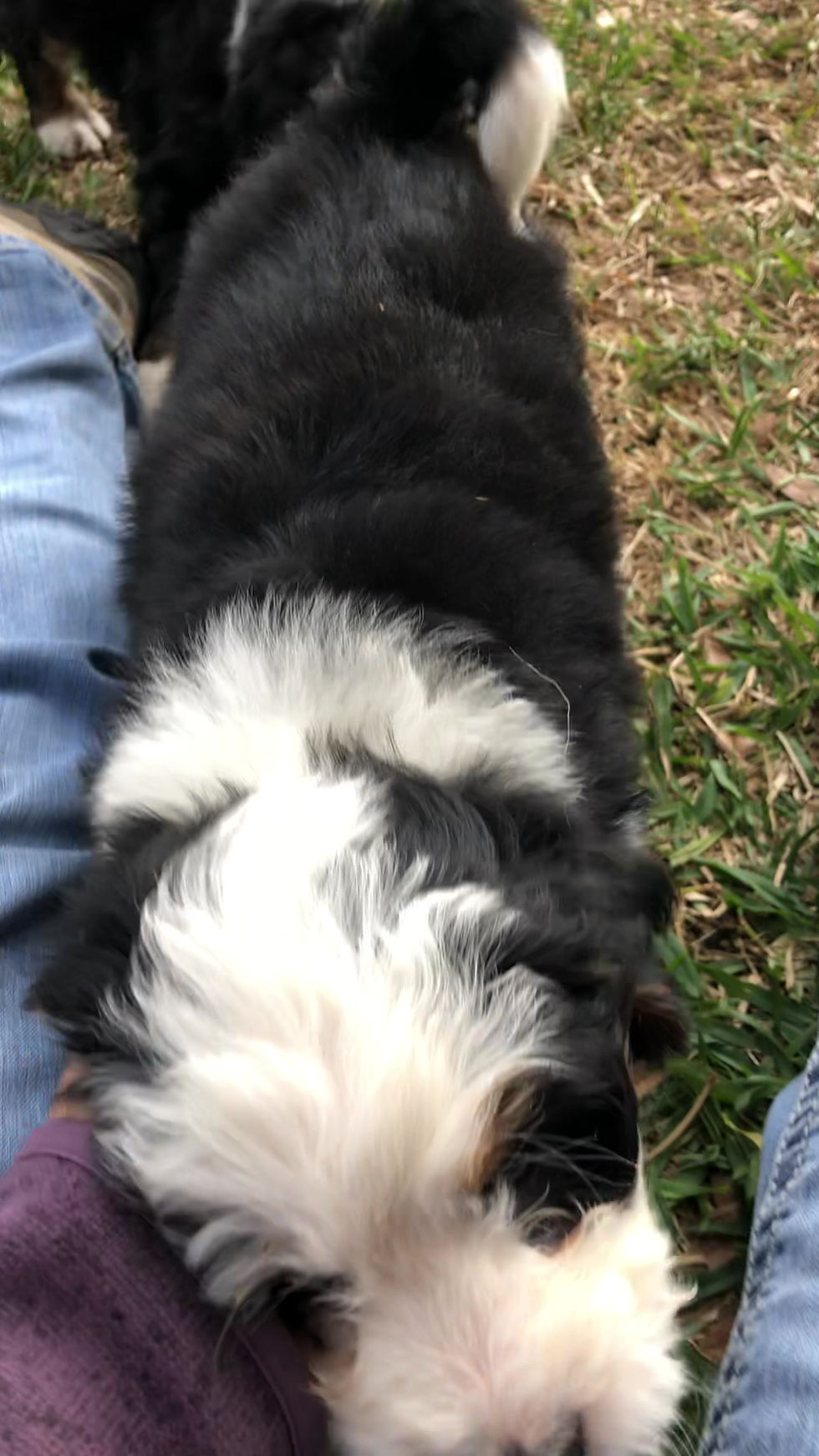 Thumbnail: Wally (Reserved)