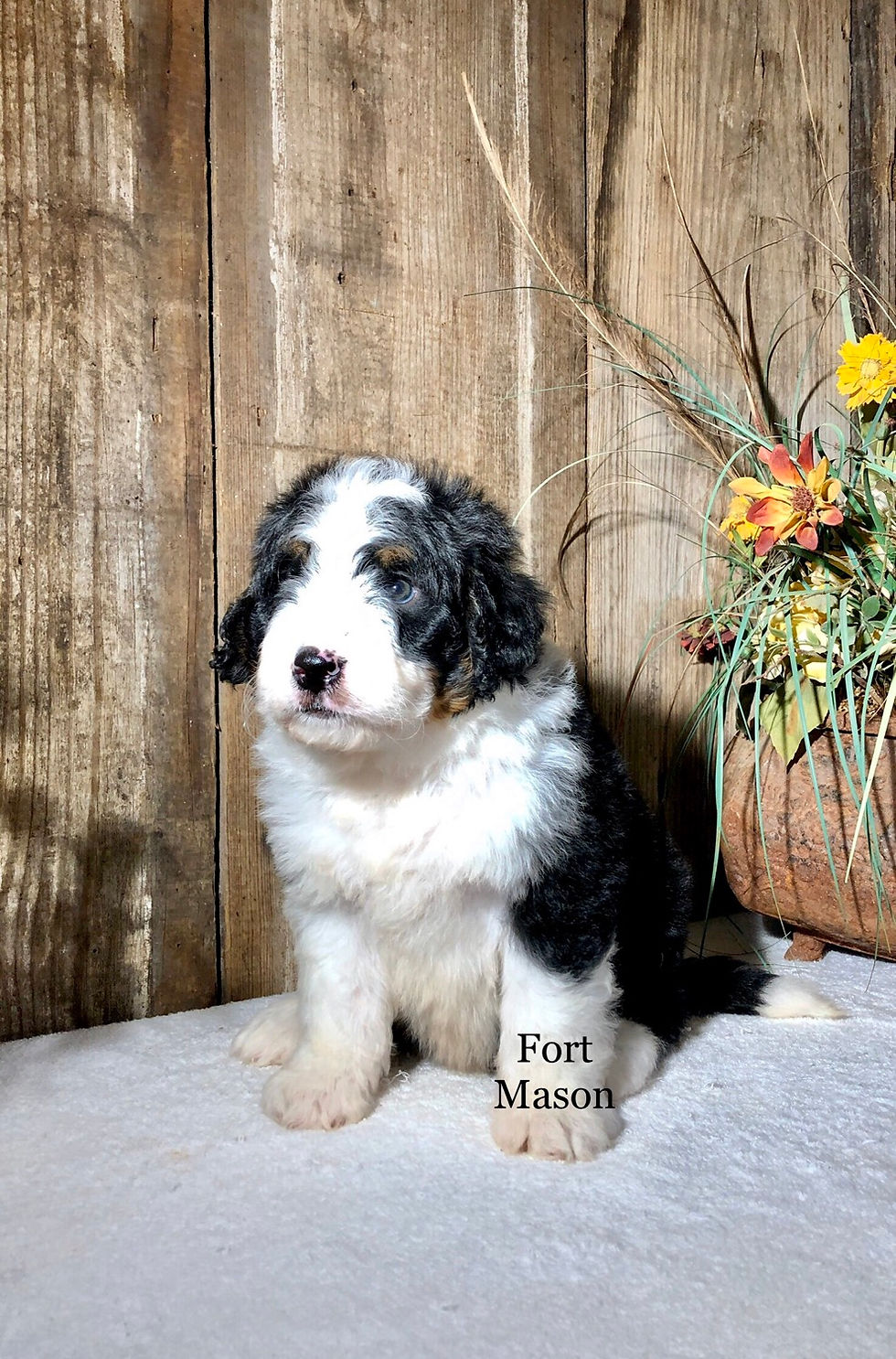 Thumbnail: Caesar (Reserved)