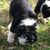 Thumbnail: Walter (Reserved)