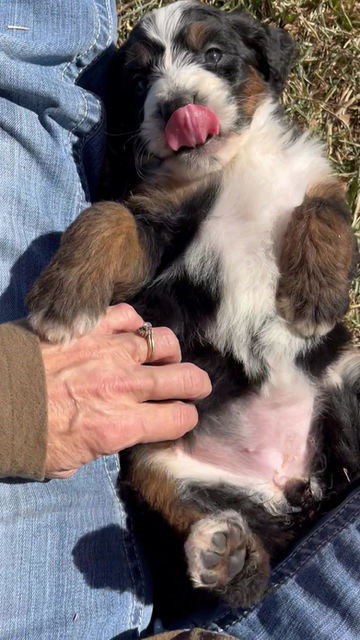 Thumbnail: Lucy (Reserved)