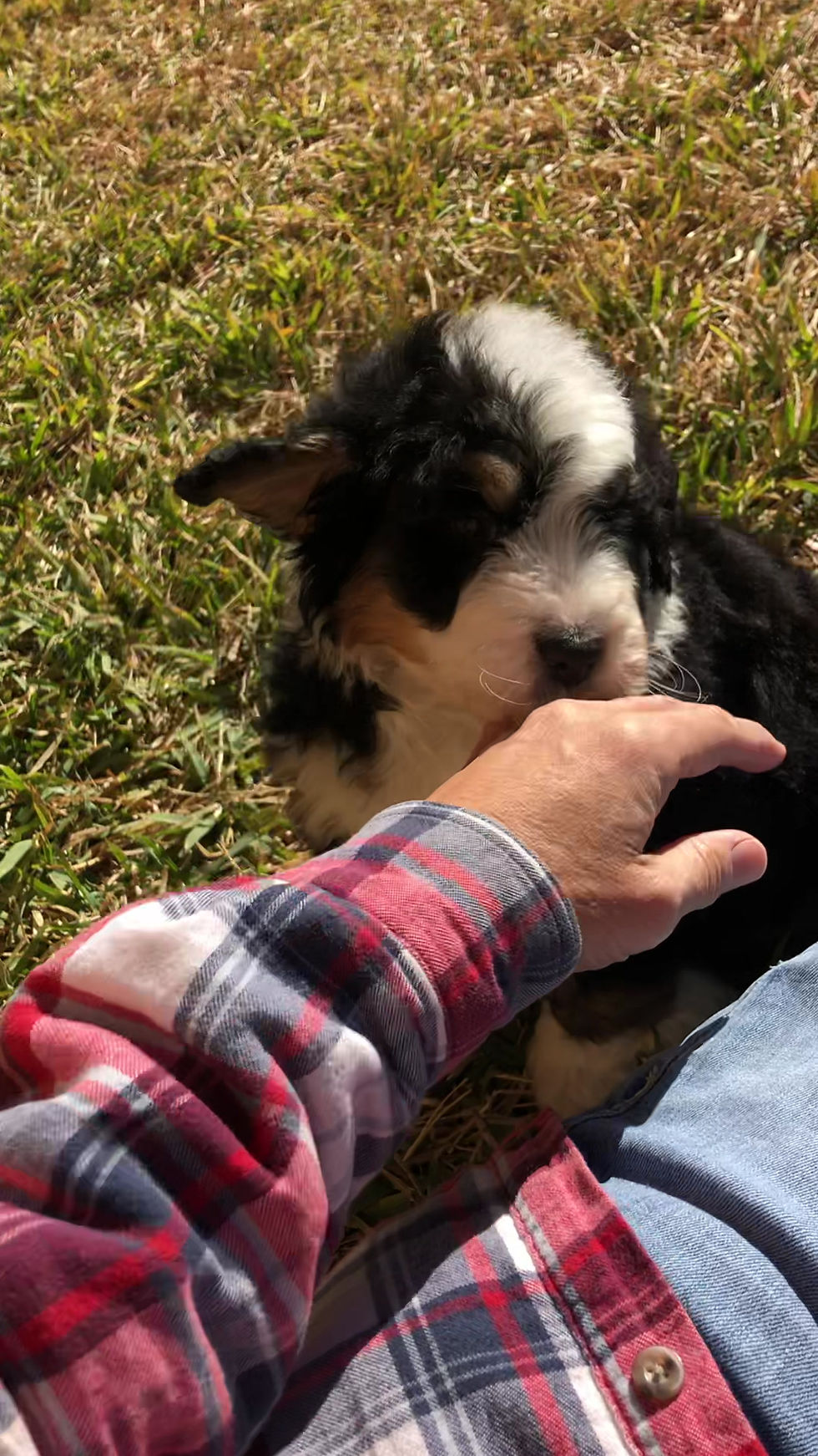 Thumbnail: Rudy (Reserved)