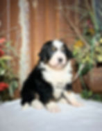 Thumbnail: Waylon (Reserved)