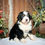 Thumbnail: Waylon (Reserved)