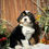 Thumbnail: Ruby (Reserved)